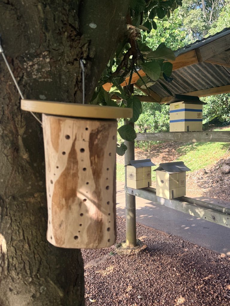Hunk-of-Holes pollinator habitat beside an orchard