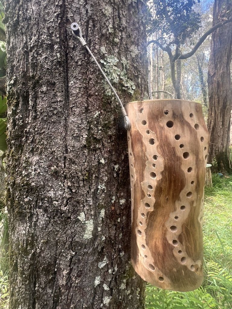 Hunk-of-Holes pollinator habitat