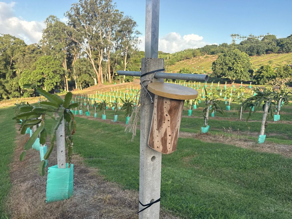 Hunk-of-Holes on a post in an orchard