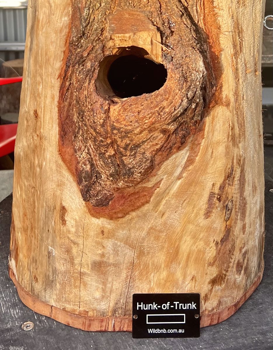 Hunk-of-Trunk hollow with its label