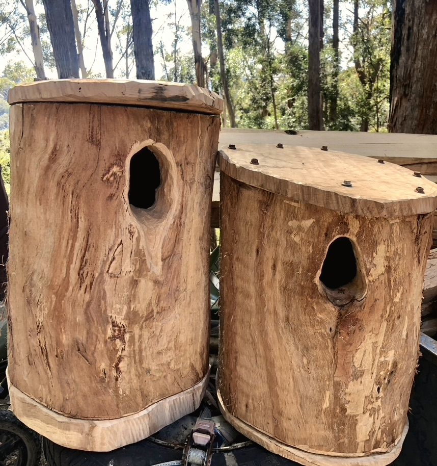 Hunk-of-Trunk hollows