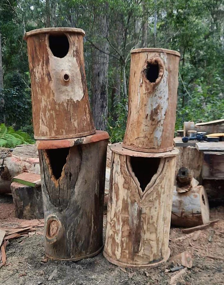 Hand-carved hollows made from rescued trunks