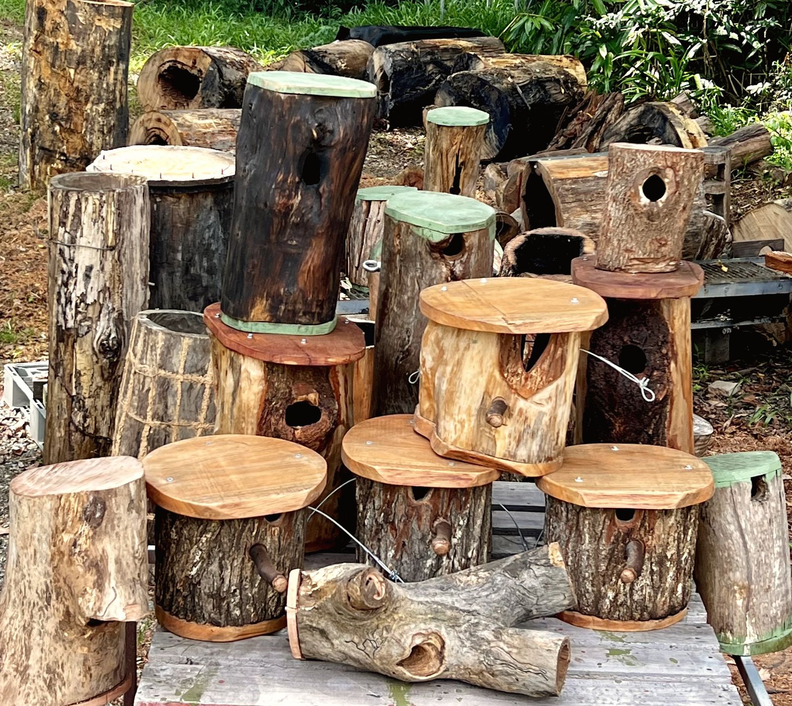 Hand-carved Hunk-of-Trunk hollows in the workshop